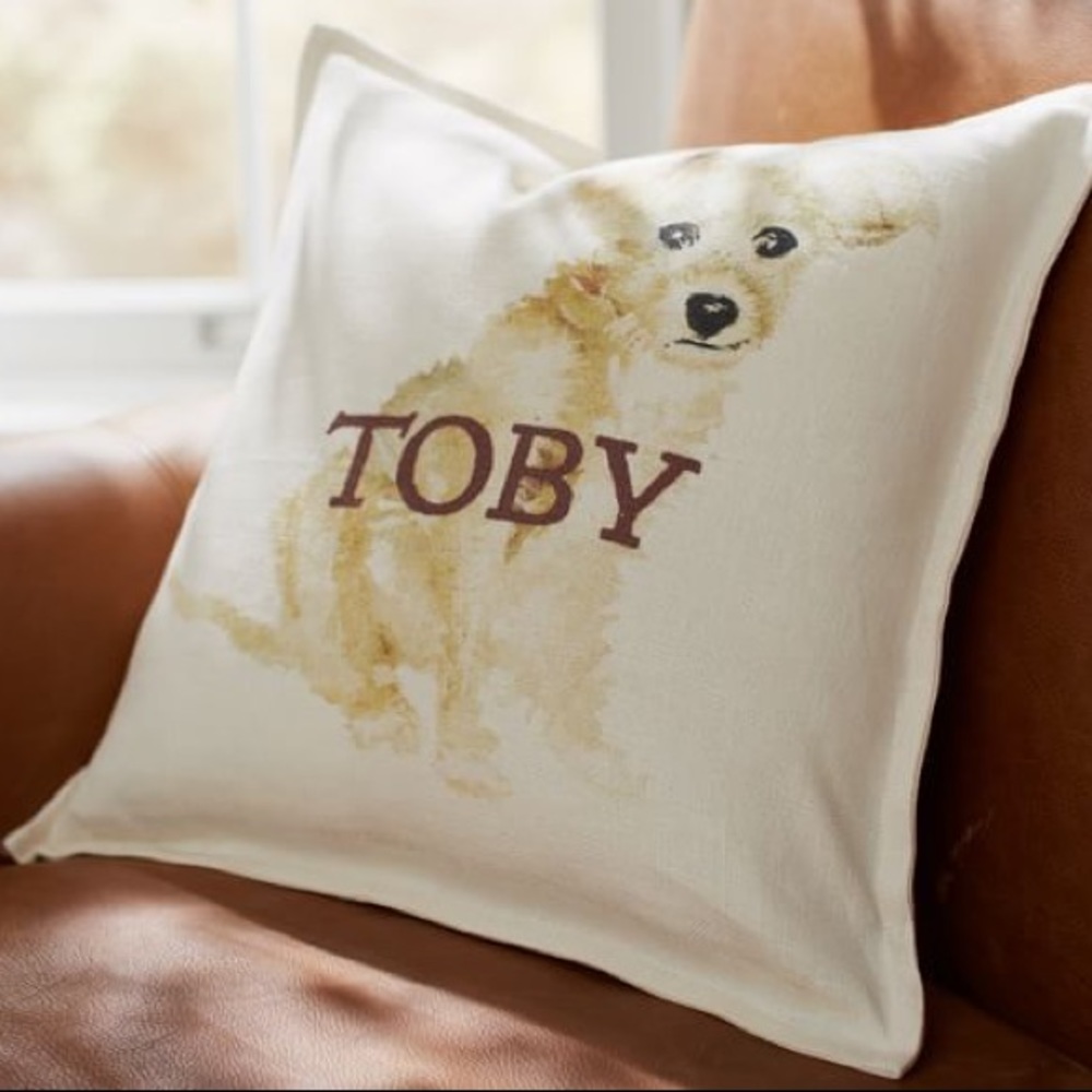 ISO!!! Pottery Barn Painted Dog Pillow!